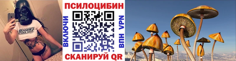 Псилоцибиновые грибы прущие грибы omg как зайти Кизел
